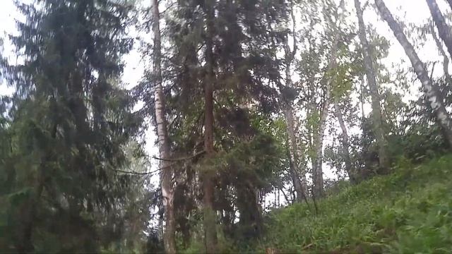 Как пройти в д. Боровка из Лепельского военного санатория смотреть онлайн