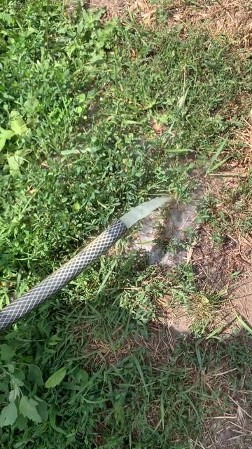 Чистка бассейна 100% без насоса и пылесоса! смотреть онлайн