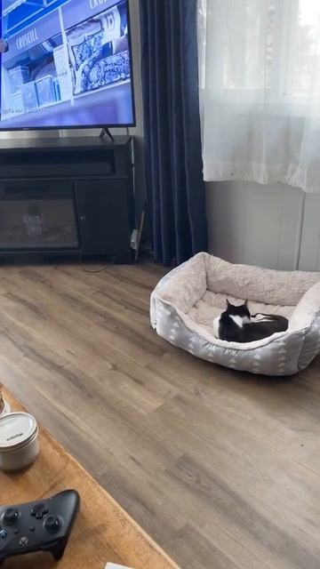 когда твоё место занято... смотреть онлайн