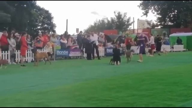 05/09/2021 "Канис"Еще новости с ЮХ смотреть онлайн