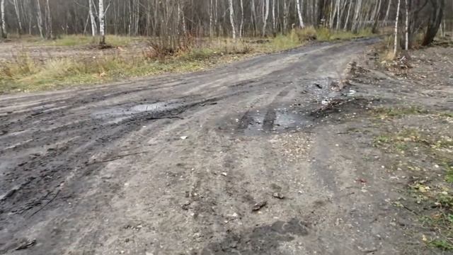 СВХ у Белокаменной Первые признаки предстоящего "шухе смотреть онлайн