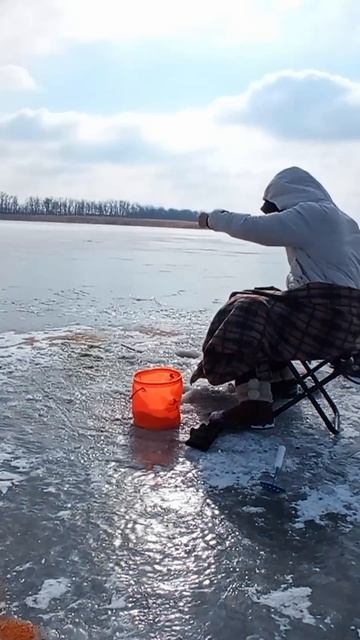 Жена точно знает секрет зимней рыбалки #рыбалка #рыбал смотреть онлайн