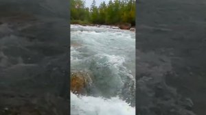 РИБ 4500. Испытания.Красноярский край, р.Пезо (приток р.К?