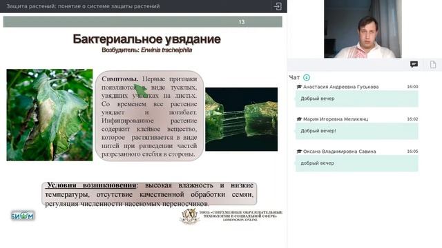 Защита растений: понятие о системе защиты растений смотреть онлайн
