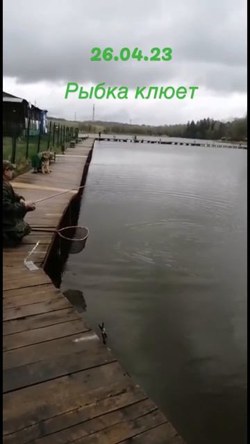 РК Савельево