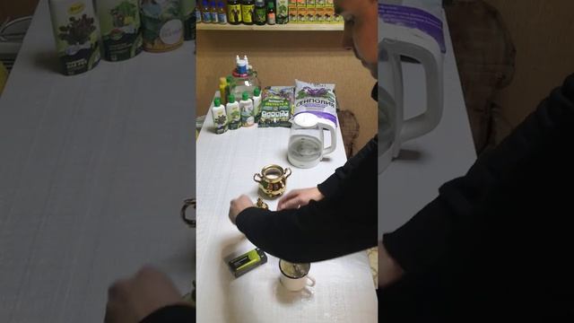 Питательный раствор для поддержания ёлки смотреть онлайн