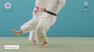 Ко сото гари