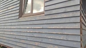 Не покупай фасадную краску Husky Siberian пока не посмотришь