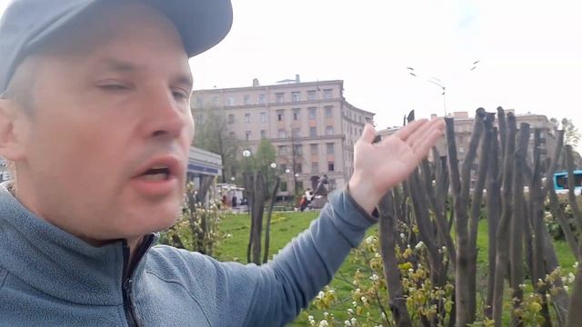 Про благоустройство и места обитания животных. смотреть онлайн
