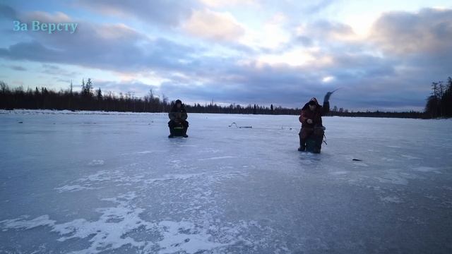 Два дня на озере. Попали на раздачу окуня. Рыбалка на т? смотреть онлайн