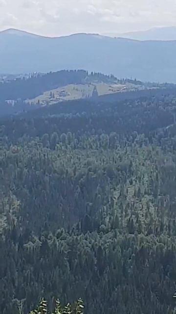 Вид на горы сверху🥰 Карпаты, Буковель🥰⛰ смотреть онлайн