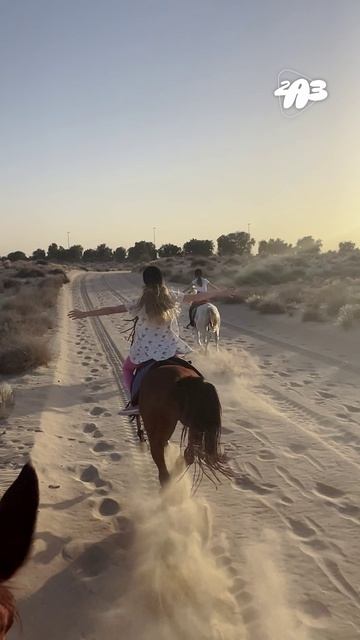 😮 Девочка в Дубае ШОКИРОВАЛА шейхов! Это НЕЧТО! смотреть онлайн