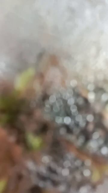 Экосистема в банке день 2 смотреть онлайн