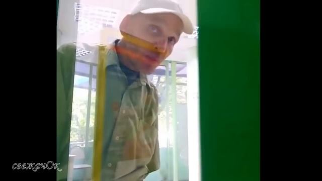 Дайте мне белую таблетку! смотреть онлайн
