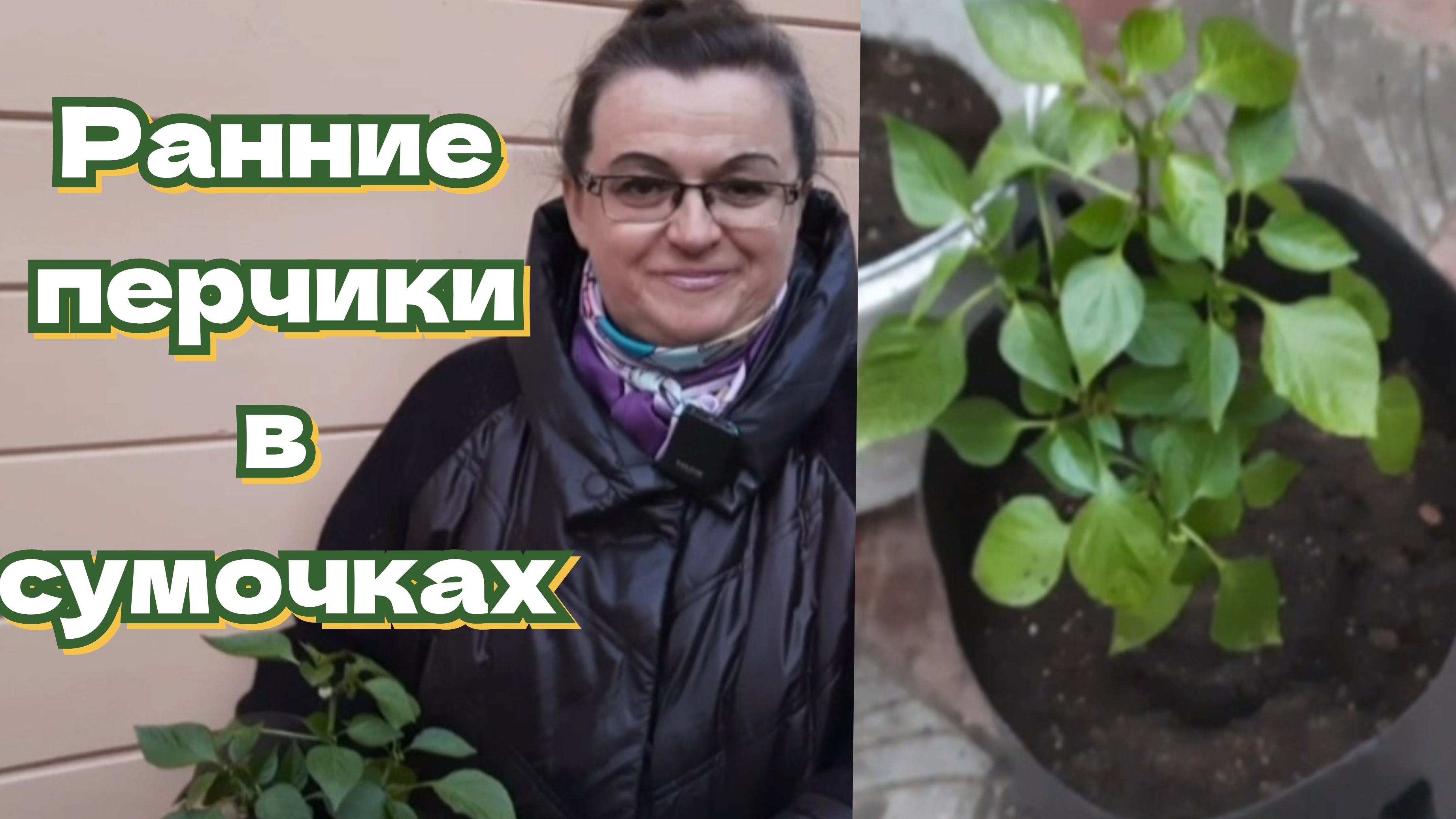 Ранние перцы. Высокая грядка в миниатюре смотреть онлайн