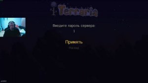 КАК ИГРАТЬ ПО СЕТИ В ИГРУ TERRARIA(STEAM)? #террария #игры #сеть #terraria #2025