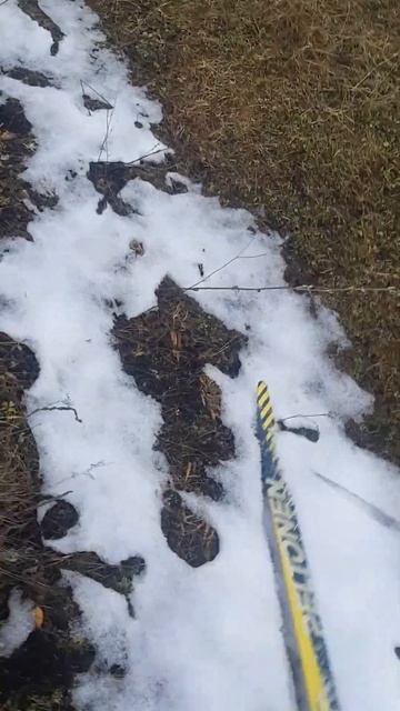 Инь и Янь Вкатка #лыжи #осень #спорт #лыжныйспорт смотреть онлайн