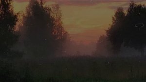 Вещие Ослы - Свидетельство О Смерти [slowed + reverb] [doomer wave]