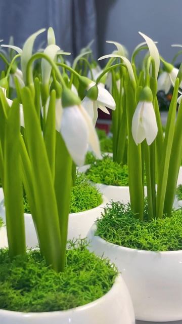 Sn-1. Подснежники ручной работы из холодного фарфора смотреть онлайн