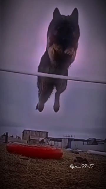 Снова эдит Но. Может запросы есть? Уже не знаю про каку? смотреть онлайн