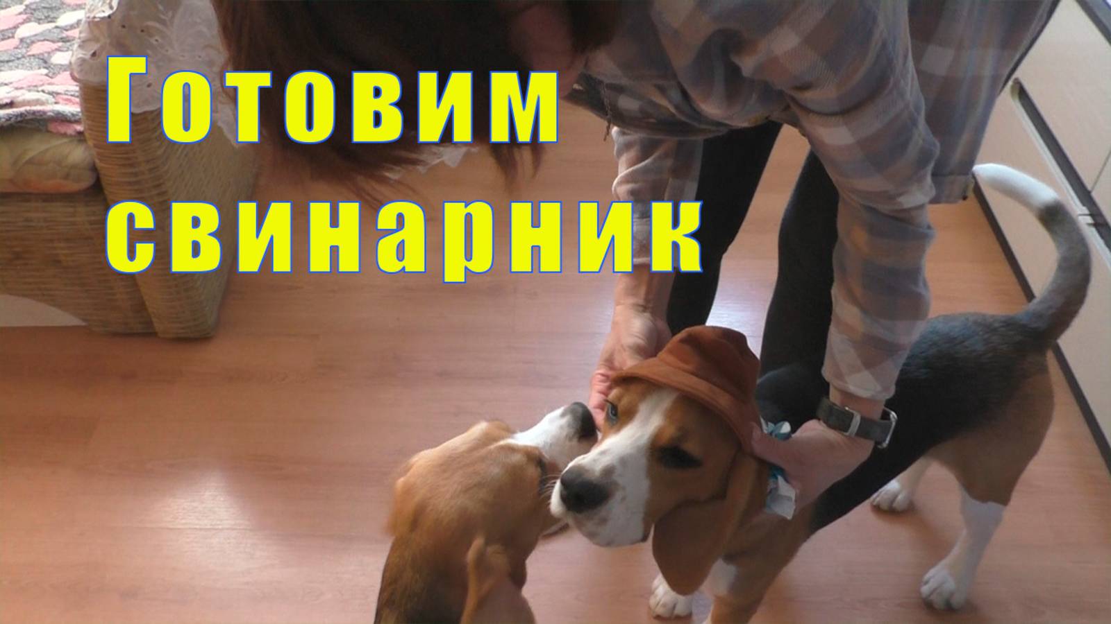 ПО КОФЕЙКУ И В СВЕТОФОР/ ГОТОВИМ СВИНАРНИК/ 10 мая 2025 смотреть онлайн