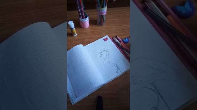 Как нарисовать фламинго смотреть онлайн