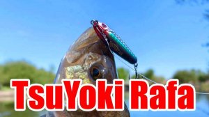 Крупный окунь на стик TsuYoki Rafa