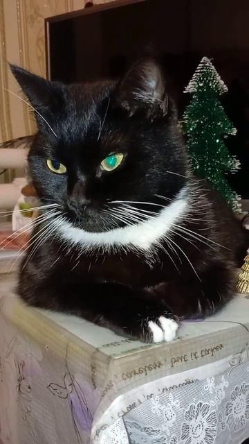 У БОГАТЫХ ЛЮДЕЙ смотреть онлайн