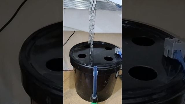 Люмены моли фотонов измеряют общий световой поток, из?