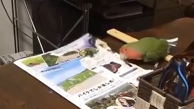 Сегодня придут гости, я должен потрясающе выглядеть ! смотреть онлайн