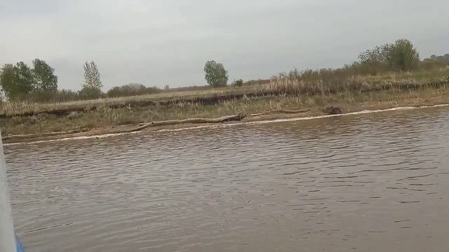 Река Обь. Возвращение домой на Теплоходе. смотреть онлайн