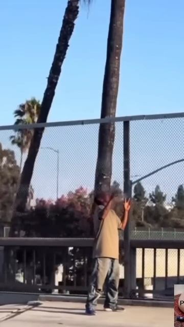 Матрица. 2 часть.👀🫣🍄 смотреть онлайн