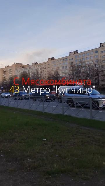 Трамвай Сорок три | Санкт-Петербург | Россия смотреть онлайн