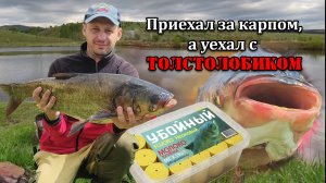 Первая рыбалка с ночевкой 2025🌙 Рыбалка на карпа и толстолобика 🔥 #рыбалка #fishing #carpfishing