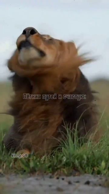 ❤️🔝 подпишите у нас все хорошо видео ролики есть 🤗 ? смотреть онлайн