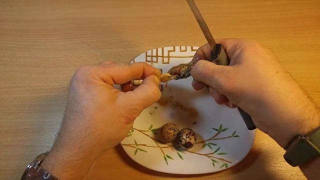 Слабонервным НЕ СМОТРЕТЬ! 18+ !Вскрытие показало. Разведение и инкубация перепелов смотреть онлайн