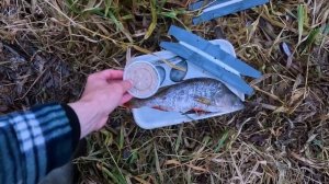 ЛОВЛЯ НАЛИМА НА ЗАКИДУШКИ. РЫБАЛКА ПОЗДНЕЙ ОСЕНЬЮ.