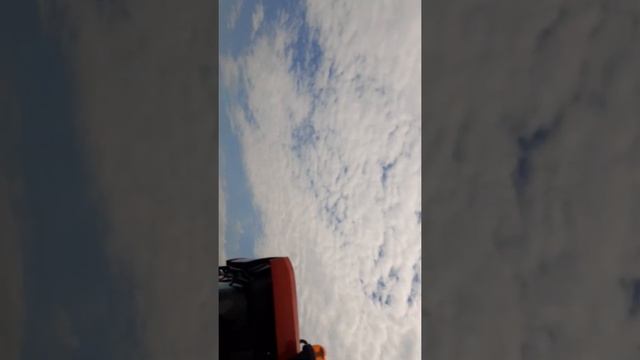 Приехали на выставку Золотая нива