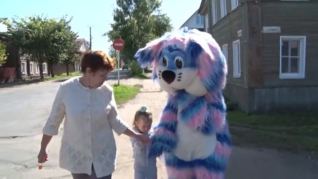 Акция ГИБДД "Возьми меня за руку" ДИА-ТВ Данилов смотреть онлайн