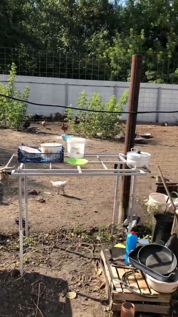 А зачем нам холодильник? смотреть онлайн