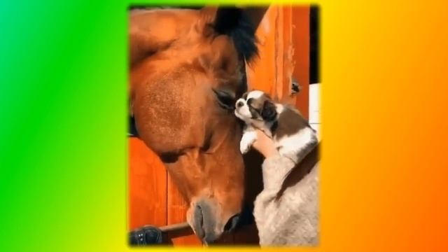 озитив Создай себе хорошее настроение смотреть онлайн