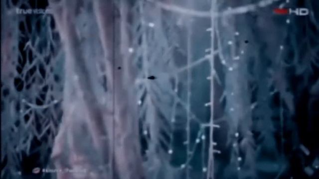 | Kiss Me | Rak Lon Jai Nai Klaeng Joob [ не обещай любить меня ] смотреть онлайн
