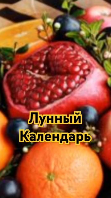 Лунный календарь | 4-й Лунный день смотреть онлайн
