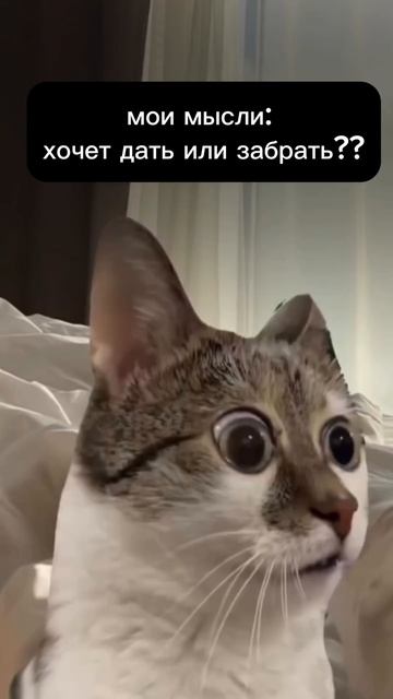 семейный бюджет 🤌🏽 #декрет #хаха #прикол #смешно #сме? смотреть онлайн