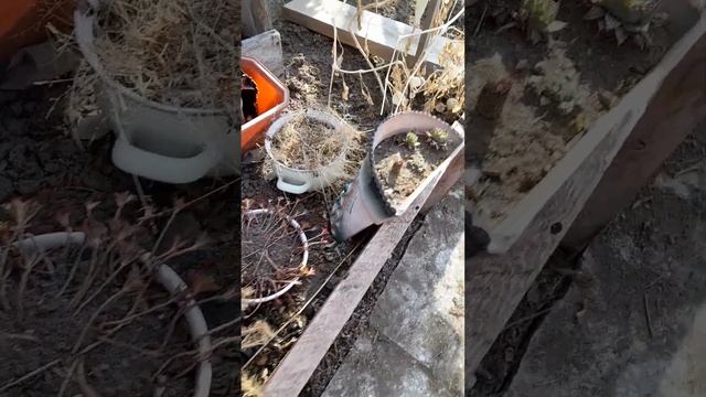 #Уже есть работа в саду, несмотря на сугробы. смотреть онлайн