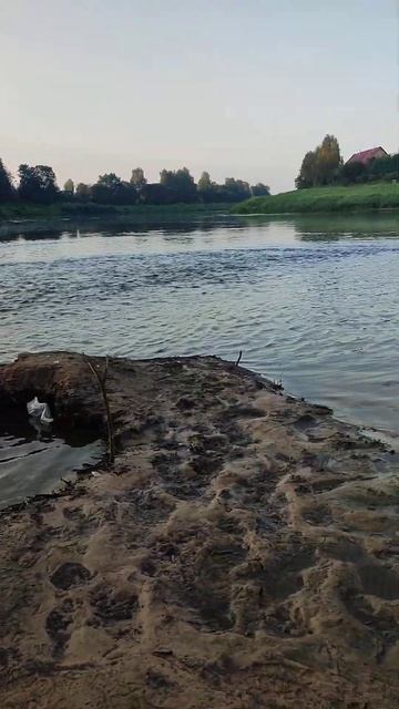 #рыбалка #природа #красивая смотреть онлайн