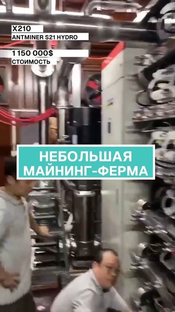 Небольшая майнинг-ферма! #майнинг #крипта #биткоин #май смотреть онлайн