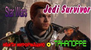Star Wars Jedi Survivor. Найти информацию о Таналорре на Кобо, озвучка от GamesVoice.