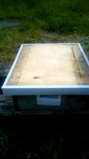 Улей на весах. Перед сборкой на липу! #shorts смотреть онлайн