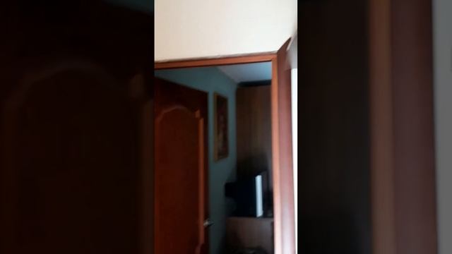 20.09.2024 СНЯЛИ ЖИЛЬЕ В ГУРЗУФЕ смотреть онлайн